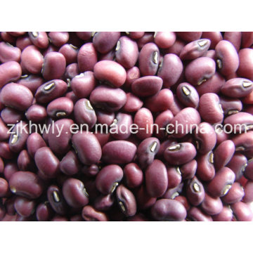 Rote Cowpeas